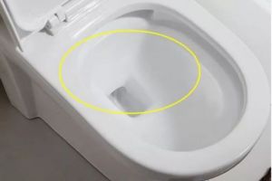 成都億圣裝飾