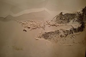 裝修墻面處理方法