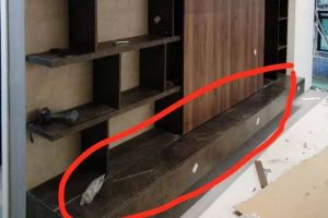 榻榻米一整間屋都是床