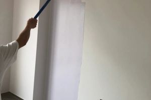 家居墻面乳膠漆