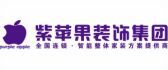 石家莊紫蘋(píng)果裝飾