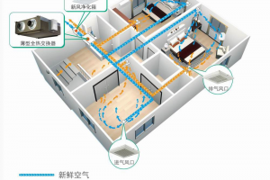除甲醛靠譜的方法