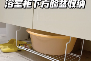 南京兔八哥裝飾
