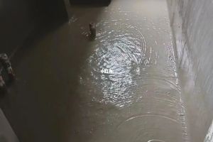 匠一裝飾