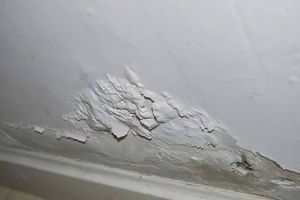 家居墻面乳膠漆
