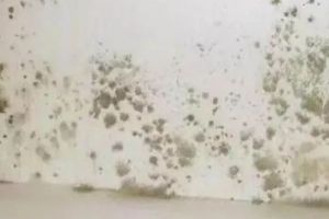 生活垃圾處理器
