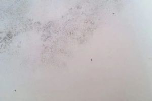 生活垃圾處理器