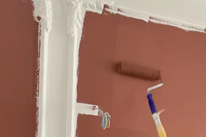 [大连星艺装饰公司]墙面乳胶漆选购全攻略，让你装修不踩坑！