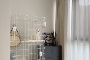 煙臺大欽裝飾公司