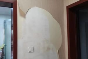 別墅裝修有些什么風(fēng)格