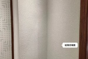 硅藻泥裝修案例