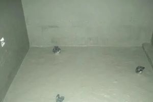 防水涂料介紹
