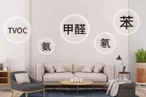 如何處理甲醛超標