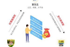 55寸電視怎么樣