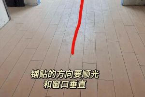 茶具排版