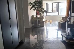 愛雷裝飾燈