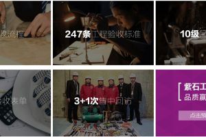 重慶紫蘋果裝飾怎么樣