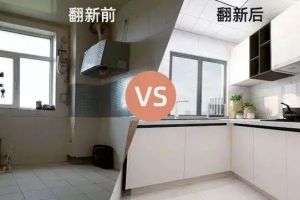 魚缸造景選購(gòu)注意事項(xiàng)