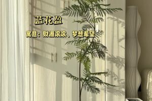 庭院種什么樹風水好