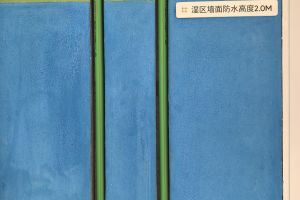 愛屋氏裝飾