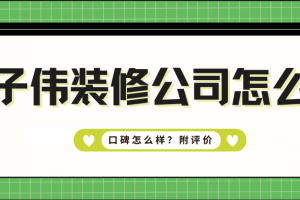 子向公司怎么樣