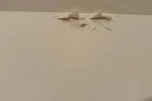 寧波圣都裝飾裝修案例