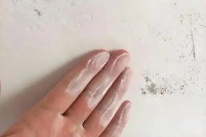 寧波圣都裝飾裝修案例