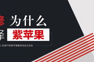 銀川紫蘋果鉆石裝飾公司怎么樣