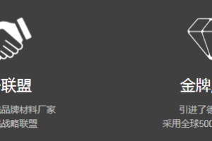 家裝聯(lián)盟簡(jiǎn)介