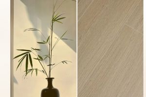 蘑菇加家裝