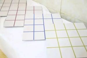 拉薩喜鵲裝飾公司