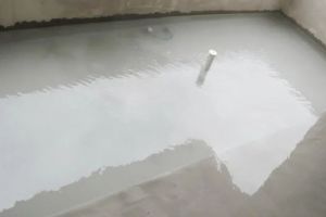 冠盛裝飾