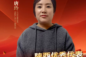 幕墻項(xiàng)目經(jīng)理