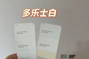 廣州好萊客創(chuàng)