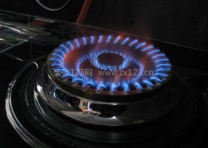 蘇泊爾燃?xì)庠?>
<p class=