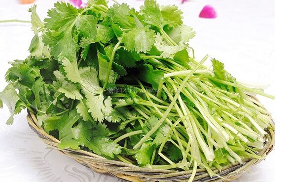 香菜的功效