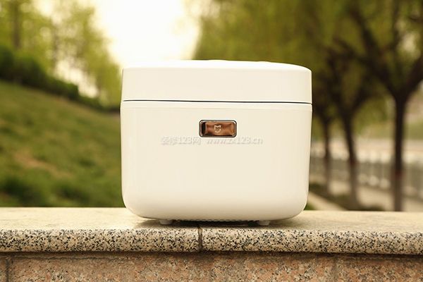 小米電飯煲測評