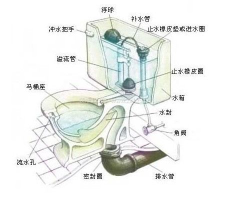 抽水馬桶結構圖 抽水馬桶結構圖
