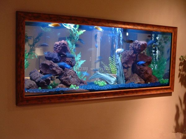 壁掛魚缸