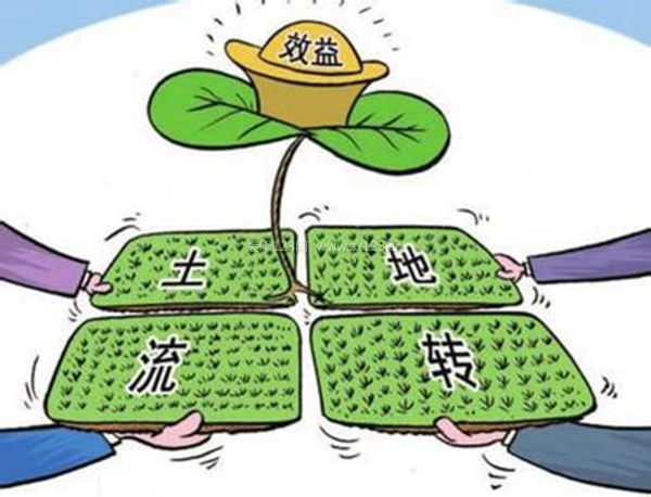 集體戶口買房好壞