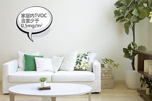 TVOC　