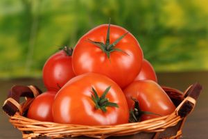 如何盆栽西红柿