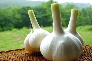 經(jīng)常聞油漆味吃啥解毒