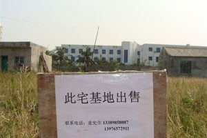 宅基地使用权