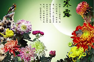 寒露