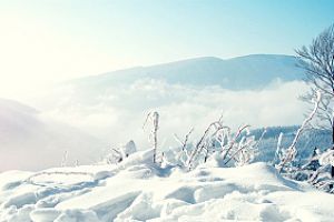 大雪