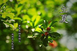 立夏