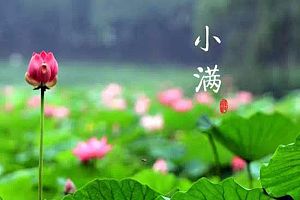 小滿