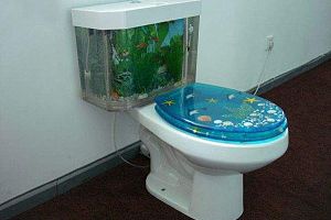 魚缸馬桶