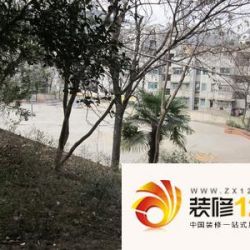 13中教师家属区实景图